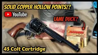 45 Colt Barnes Vortex All Copper Hollow Point Meat Target Test | Is This Self Defense Ammo Good?