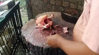 Chicken cutting,fast chicken clean and cutting,#chicken #speed #food#cuttingskills #fish #cleaning #