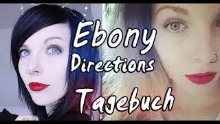 SCHWARZ Tönen mit Directions + Farbe RESTLOS rausbekommen