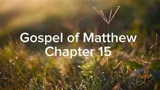 Matthew chapter 15 (audio Bible with text) ESV 