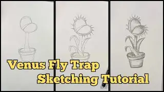 ✨Venus Fly Trap Drawing Tutorial | Simple Plant Sketch Step by Step