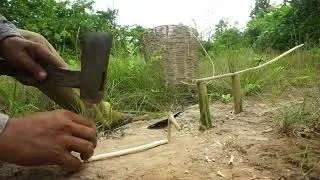 Quail Bird Trap Using Bamboo & Wood