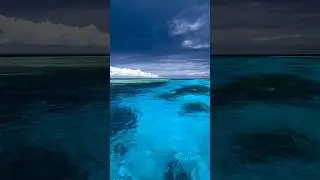 ОКЕАН #ОКЕАН #ВОДА #КРАСОТА #НЕБО #РЕК #РЕКОМЕНДАЦИИ #ТРЕНДЫ #SHORT #SHORTS #2024 #SHORTVIDEO