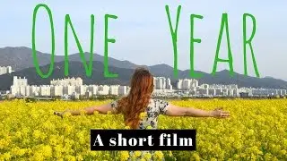 ONE YEAR OF TRAVEL || A Short Film