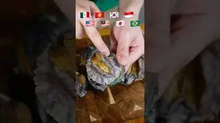 Seafood abalone🦪 #mukbang #stoneychoi