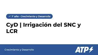 REPASO PARA CyD: Irrigaci&oacute;n del SNC y LCR