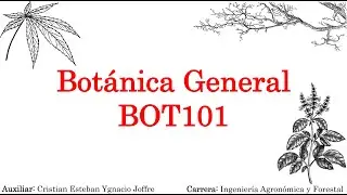 BOT101 (PARTE 2) - MORFOLOGIA DE LA FLOR