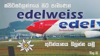 I Went to See the Edelweiss A340 at Colombo Airport | Sinhala Aviation Vlog | Vlog 01