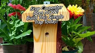 DIY Simple Carpenter Bee Trap That Works