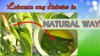 May Diabetes ka ba? May mga Mabisang Halamang gamot Para Sa'yo | GPS TV