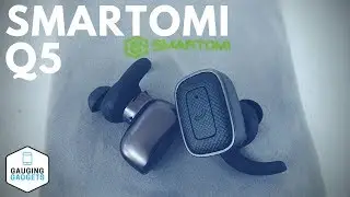 Обзор беспроводных наушников SMARTOMI Q5 True