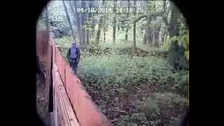 Nosey Bastard