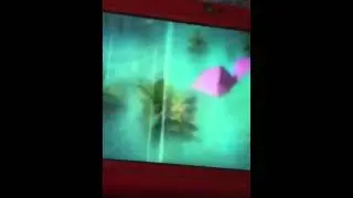 3D Visual Experience(3D)