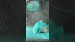 Flocking Coconut Oil
