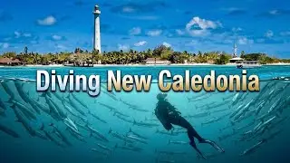 Diving New Caledonia - South Special - From Boulari to the Isle of Pines
