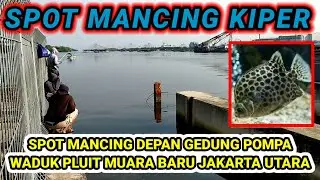 SPOT MANCING IKAN KIPER/KETANG2 DEPAN GEDUNG POMPA WADUK PLUIT MUARA BARU JAKARTA UTARA