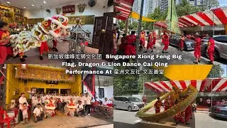 新加坡雄峰龙狮文化团 Xiong Feng Big Flag, Dragon & Lion Dance Cai Qing Performance at 星洲文友社 文友善堂 4 .1. 26