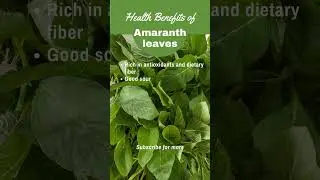 Health benefits of Amaranth Leaves