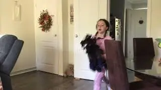 JUMPING WITH TEDDY AND CHLOE