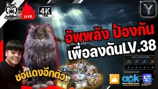 🔴Legend of Ymir Global | อัพพลังป้องกัน เพื่อลงดันLV.35-38 สุ่มกาชาขออีก 1 แดง