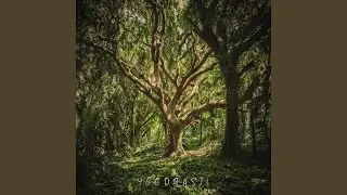 Yggdrasil