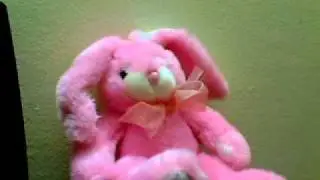 Bad Bunny