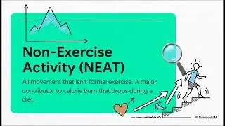 Lose Belly Fat in 5 steps
