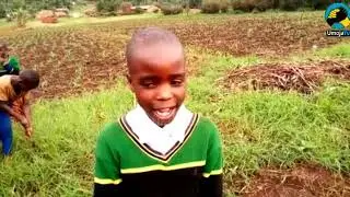 WAKULIMA WILAYANI LUDEWA WAANZA KULIMA MAZAO YA  KIMKAKATI