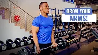 Top 6 Arm Exercises || Best Tips To Grow Your Arms