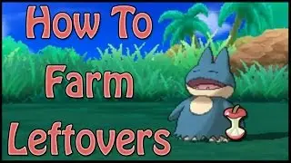 How To Farm Leftovers in Pokemon Sun and Moon