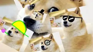 Meme School #1: The Delicate Dog Doge Day Where Everything is About Doge