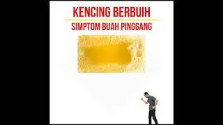 Kencing Berbuih Simpton Buah Pinggang