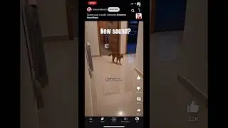 New sound #newsound  #shorts #laugh