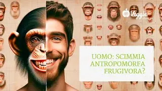 Uomo: scimmia antropomorfa frugivora? Fabio Di Vincenzo