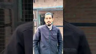 28 Rajab #safareimamhussain 💔😭💔#viral #karbala #molaabbas #noha #india #bibifatima #youtubeshorts