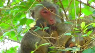 Mom Janna taking Care her both children ! Good Job !