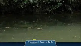 2023 Bassmaster Elite at Lay Lake, AL - Toyota Mid Day Report - Day 4