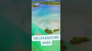 FUN Facts about Jupiter Florida!  #realestate #realtor #beach #4k #drone