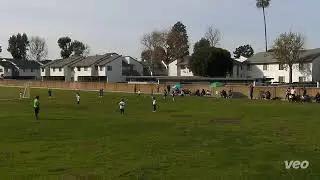 Pacheco vs Mala
