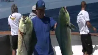 Searcher Sportfishing 976-TUNA By Bill Blake