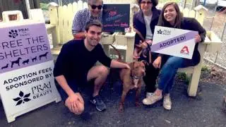 PRAI Beauty Free the Shelters