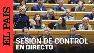 DIRECTO | Sesi&oacute;n de control al Gobierno en el Senado | EL PA&Iacute;S