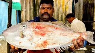 #KASIMEDU SPEED SELVAM LEATHER JACKET FISH CUTTING #KASIMEDU #KASIMEDU MEENGAL