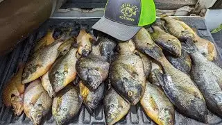Огромные!!!! Ракушечные креветки пойманы на реке Литл-Пи-Ди
