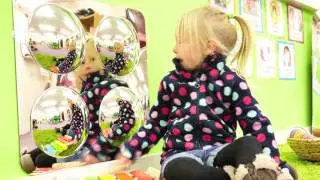 Acrylic Dome Mirror Panels E1268 E1269
