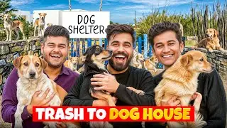 We Built a LUXURY Dog House from Trash