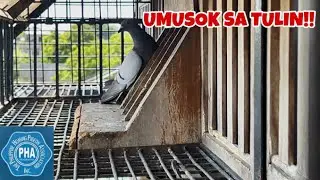 SUPER TALAGA ANG JANSSEN RELAX!!