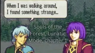 Souls of The Forest|Lunatic mode|chapter 1|