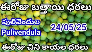 24 May 2025| పులివెందుల మార్కెట్లో బత్తాయి ధరలు | today Mosambimarket Pulivendula|top rate shop 05