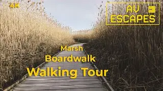 Marsh Boardwalk Trail Walk 4K | Relaxing Nature Sounds Presqu'ile Provincial Park Ontario